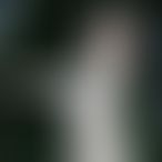 Lila_chaudexx en photo